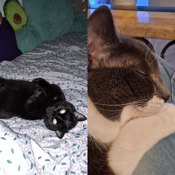 Meet Your Posher, Sheena : ) - Picture 7 of 8